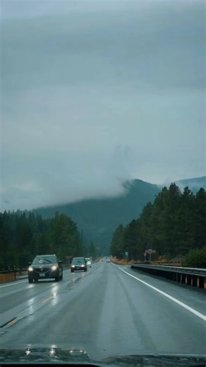 Discover the Moody Twilight Vibes of Forks, Washington