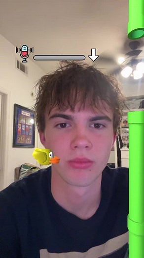Flappy Bird Filter Challenge: Finished While Talking to Mom