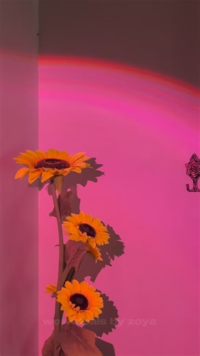 Zoya | Content Creator in Kerala on Instagram: "Trust me gyz !ith vaangichal ingal orikkalum regret aakkoollaa🥹❤️‍🔥 [trending ,viral reels ,trending shorts ,magic lamp ,laps ,room makeover ,makeover ,instagram ] #meesho #meeshofinds #flipkartdeals #flipkartoffers #flipkaroffers"