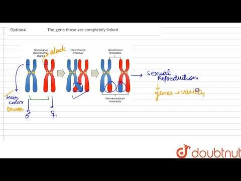 Crossing over is the exchange of genetic material between: | CLASS 12 | PRINCIPLES OF INHERITANC...