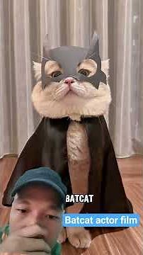 batcat best actor film #cat #catshorts #catvideo #catfunny #foryoupage