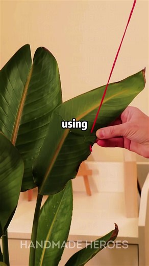 Unexpected Wedding Dress Surprise: What Happened?