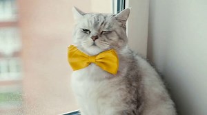 Google Chromebook TV Spot, 'Find Things Instantly With the Everything Button' Song by HMLTD