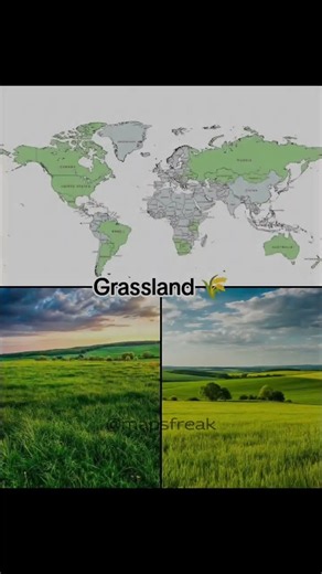This is where the world's biomes are hiding #geography #maps #earth