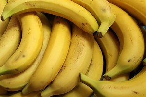 Where are Bananas Grown in Costa Rica? - Tico Travel