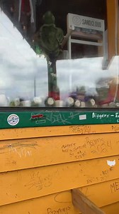 74K views · 2.1K reactions | Let’s try “Fudpucker’s” An alligator themed restaurant! With live alligator! Amazing with kids! And for a fun time! @fudpuckers #foodie #destin #florida #foodreview #fun #kids | Justin M. Chopelas | Facebook