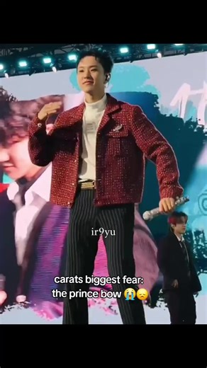 Carats Biggest Fear: The Prince Bow Explained