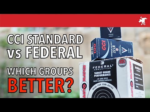 CCI Standard vs Federal Auto Match: Ruger 10/22 TD test