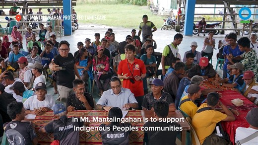 Cheers to 30 years of Conservation International Philippines! 💚 Thank you to our partners and communities for making 2025 a year of impact as we strengthened biodiversity protection, advanced climate action, and built more resilient landscapes for nature and people. We look forward to continued partnerships and collaborations in the year ahead. ✨️ | Conservation International Philippines