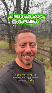 11K views · 415 reactions | Nature’s Best Source For Vitamin C! Creates Collagen, perfect for joint pain, AND Immune Booster #vitaminC #rosehips #fblifestyle | Stivers Homestead | Facebook