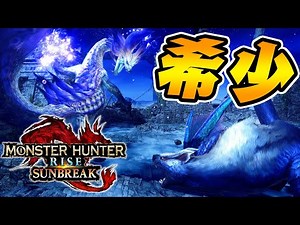 新イベクエ！『タマミツネ希少種＆ナルガクルガ希少種』に新操虫棍装備で挑む男【モンハンサンブレイク】