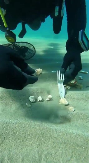 Underwater Cleanup Mission: Collecting Shells & Combating Plastic Waste #OceanCare