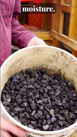 How to Add Biochar to Your Garden