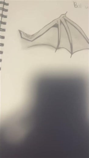 Bat wing drawing