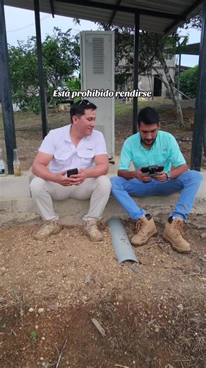 Intensive Tilapia Farming Techniques