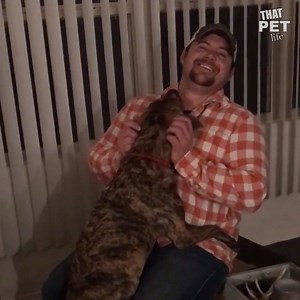 628K views · 5.3K reactions | Get all the hugs from your pet by saving 20% on new toys from Chewy: https://bit.ly/2wdn0Cm | Animal Tales | Facebook