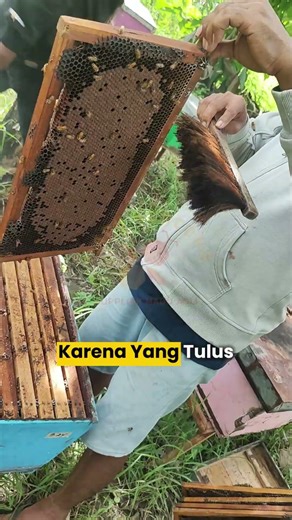 TETAP BERSERAH DAN FOKUS MEMPERBAIKI DIRI 🙏