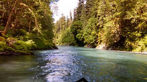 Hoh River Fishing | Forks, WA | Blue Heron Guide Service
