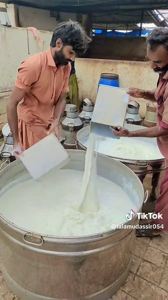 #dairyfarming #foryou #لالامدثر #💖💖