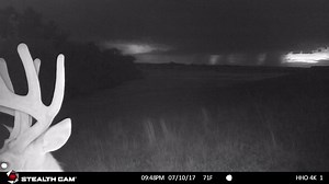 3.3K views · 195 reactions | The new DS4K Camera not only has unrivaled video & image clarity - but amazing audio as well. Check this buck watching the storm roll in. Thanks to Hidden Hills Outfitters for the clip. | Stealth Cam | Facebook