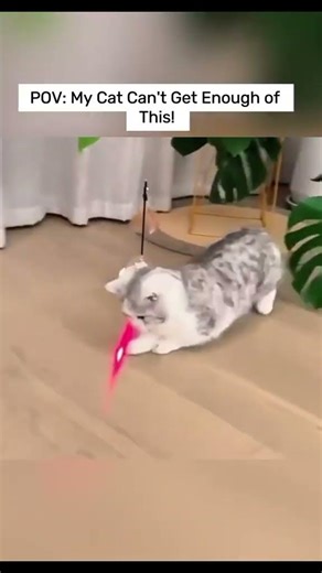 ToyTigris UFO laser – automatic movement and chasing