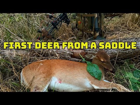 PUBLIC LAND | MY FIRST DEER THIS YEAR | FIRST DEER OUT OF A SADDLE!