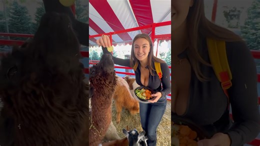 Bucked teeth make for funny petting zoo moment