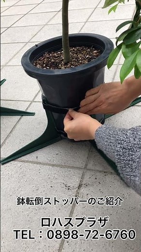 鉢転倒ストッパーとは？植物と植木鉢の強風対策 鉢が倒れないように防ぐ園芸グッズ