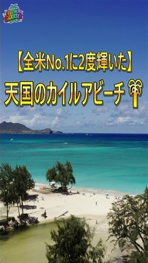 【全米No.1】ハワイ歴23年ガイドが選ぶ天国の海カイルアビーチ🌴 #shorts