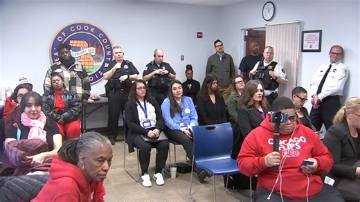 Cook County kicks off first Violence Against Women Task Force meeting: 'See that they're not alone'