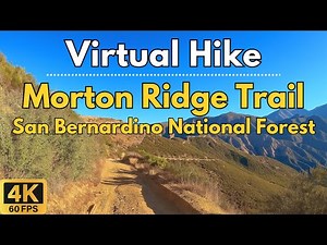 4K Virtual Hike – Morton Ridge Trail, San Bernardino National Forest | 28-Min Scenic POV Walk
