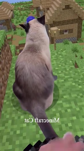 #minecraft #brainrots #tungtungtungsahur #tung #thucung