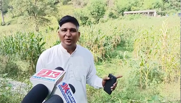 2.2K views · 84 reactions | सोम राज कल्सिया w no 1 आज भी कर रहा है...