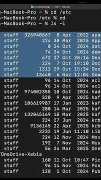 Essential Linux Commands Every Developer Needs to Master Quickly