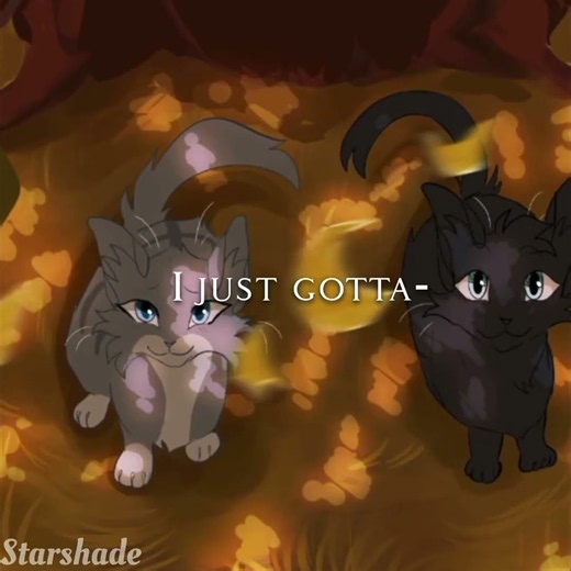 Warrior cats edit // Feathertail and crow feather! Riptide #edit #warriorcats #riptide