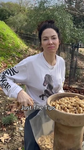 Crows Communication Guide: Tips and Tricks for Personal Security