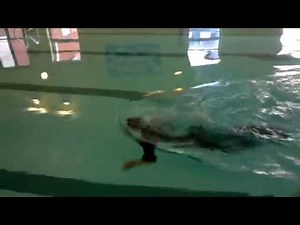 Summer Hill school Jordan Wall Last day at School