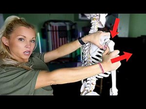 Load and Shift Special Test l Shoulder Stability Assessment