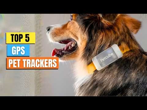 The 5 BEST GPS Pet Trackers That Actually Work – Find Lost Pets in Seconds