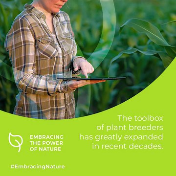 Today #plantbreeders make use of different methods, techniques and tools to achieve improved properties of crops for adaptation to human agriculture and quality needs. ✂️ 溺 ℹ️ https://tinyurl.com/3m5ypytc #GrowingTheFuture #seedinginnovation | Euroseeds | Facebook