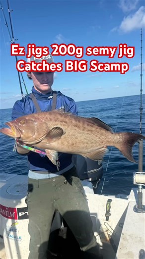 Jigging in 200ft of water for Big Grouper #fishing #bigfish