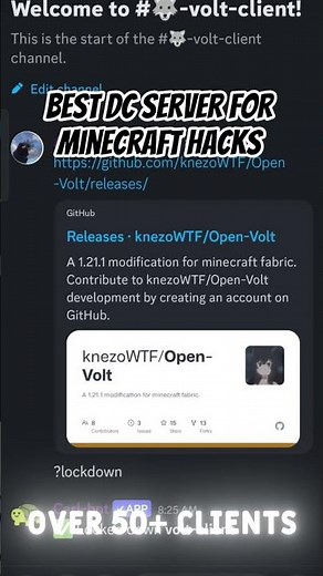 Best Hack Client Discord (2025 UPDATED)