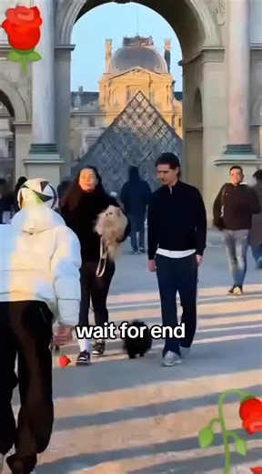 Spreading Joy: Flower Surprises for Strangers