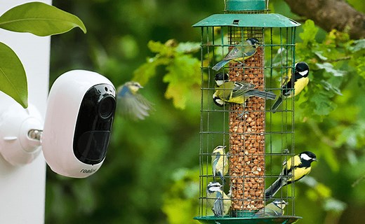 Best Bird Feeder Camera Build Guide in 2026