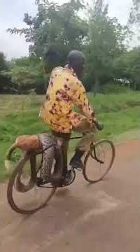 This guy claims python killed his dog and he is headed to the police station to report the incident