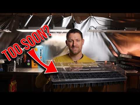 When to Remove Humidity Domes + Other Seed Starting Questions