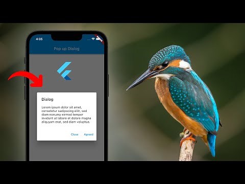 فلاتر على الماشي - نافذة مربع الحوار : Flutter to go - Pop-up Dialog
