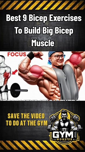 Best Bicep Exercises for Big Muscle Growth
