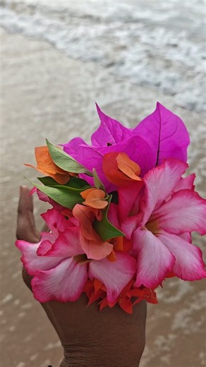 Sovereign Rising Collective on Instagram: "Today I return gratitude to the waters 🌊 Offering flowers to the ocean in honor, remembrance, and trust. Yemayá — Orisha, Goddess, and Queen of the Sea. Mother of all waters. Womb of creation. Divine protector and guide of my spirit. May these waters cleanse what no longer serves me, soften what has hardened, and carry my intentions where they need to go. I honor the ocean as living consciousness. I speak life, healing, and clarity into every wave. May