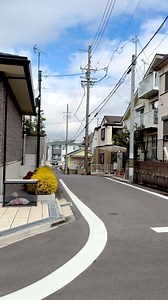 Japanese residential area 🇯🇵🗾🍁🍂 | Japan Diary日本